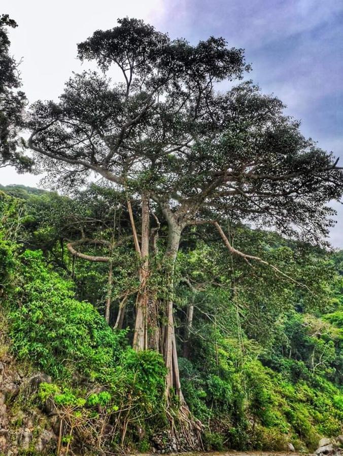 Chamisland Hanhly Homestay Cham Islands Dış mekan fotoğraf
